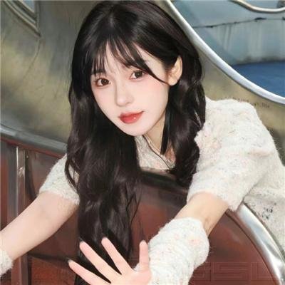 公牛